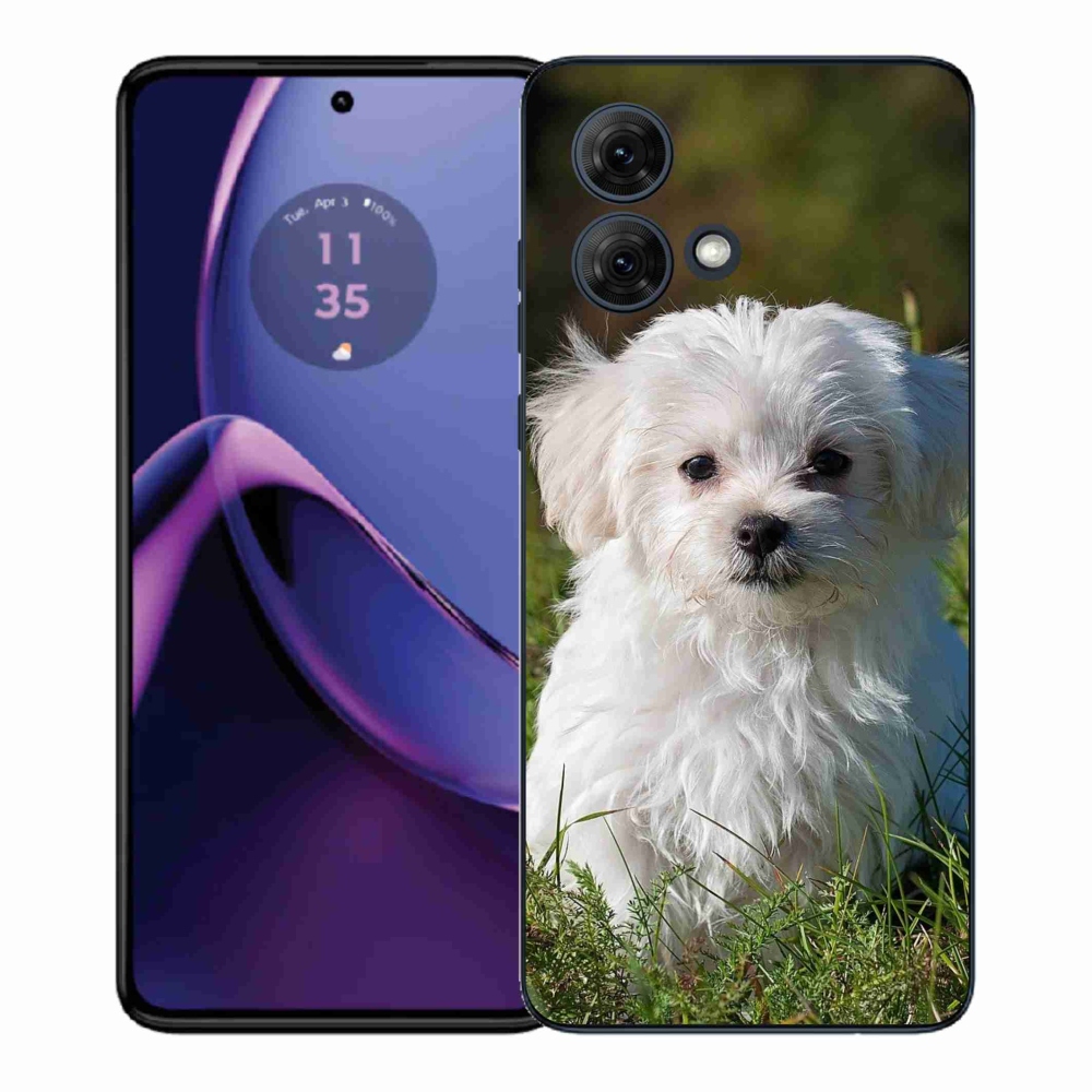 Gél védőburkolat mmCase Motorola Moto G84 5G - bichon