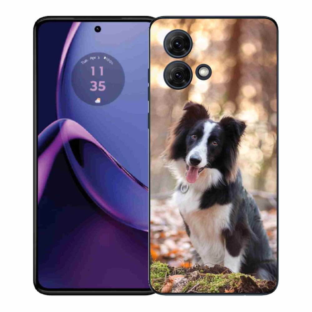 Zselés borítás mmCase Motorola Moto G84 5G - border colie 1