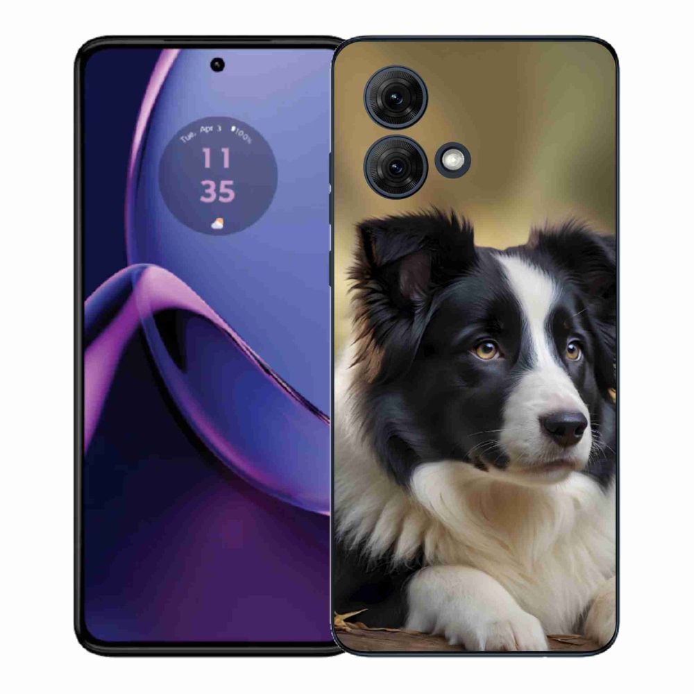 Gél védőburkolat mmCase a Motorola Moto G84 5G - border colie 2