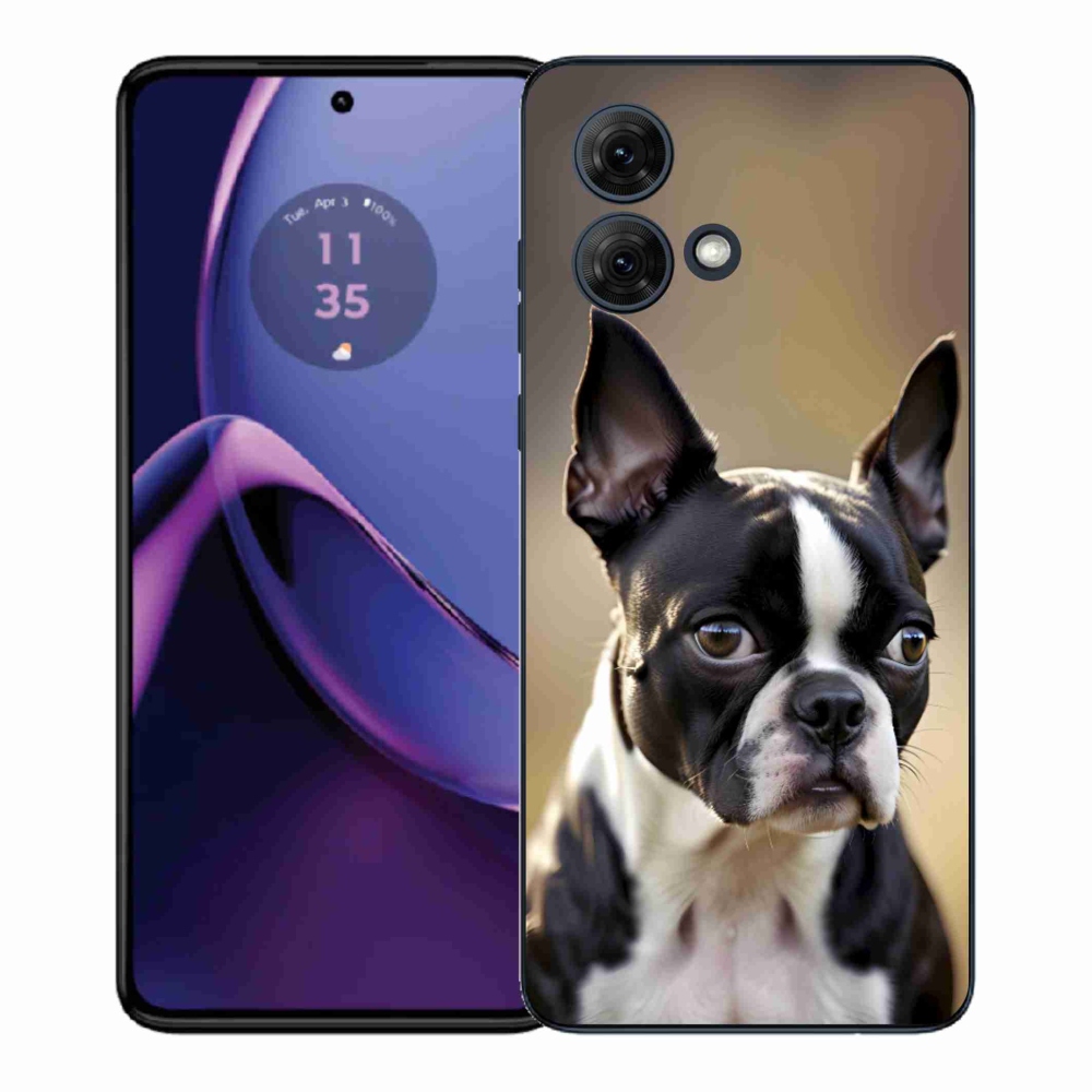 Zselés borítás mmCase a Motorola Moto G84 5G készülékhez - Boston Terrier