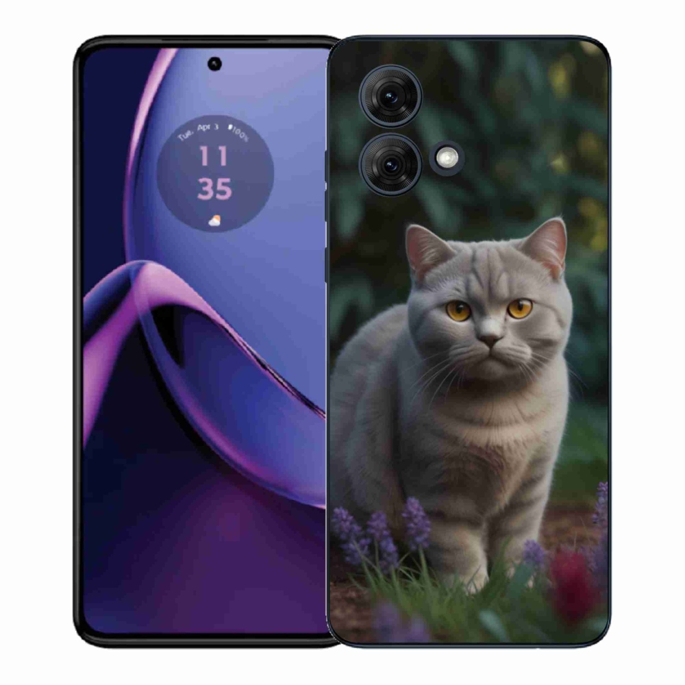 Zselés borítás mmCase a Motorola Moto G84 5G készülékhez - brit macska