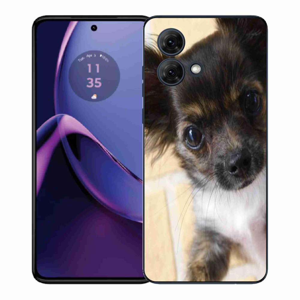 Zselés borítás mmCase a Motorola Moto G84 5G - chihuahua 2 számára