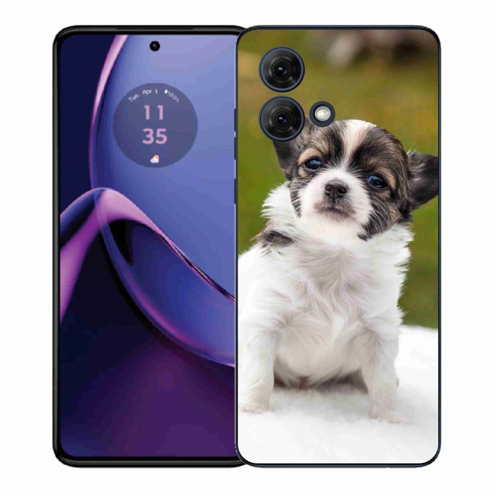 Zselés borítás mmCase a Motorola Moto G84 5G - chihuahua 4 számára