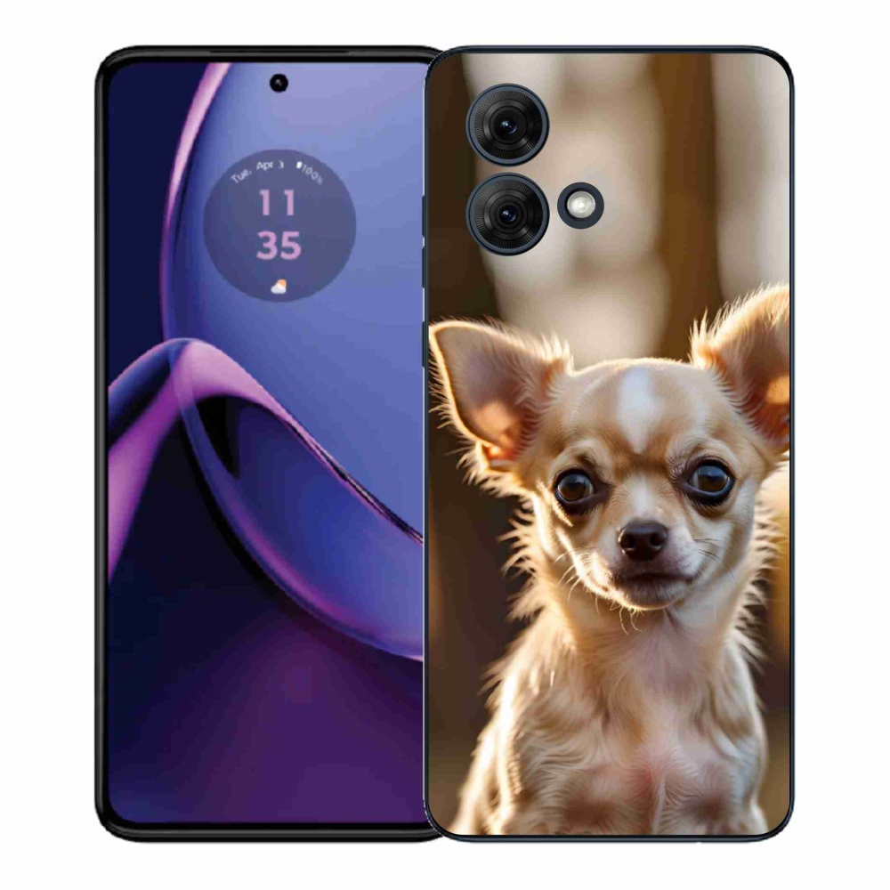 Gél borítás mmCase Motorola Moto G84 5G - chihuahua 6
