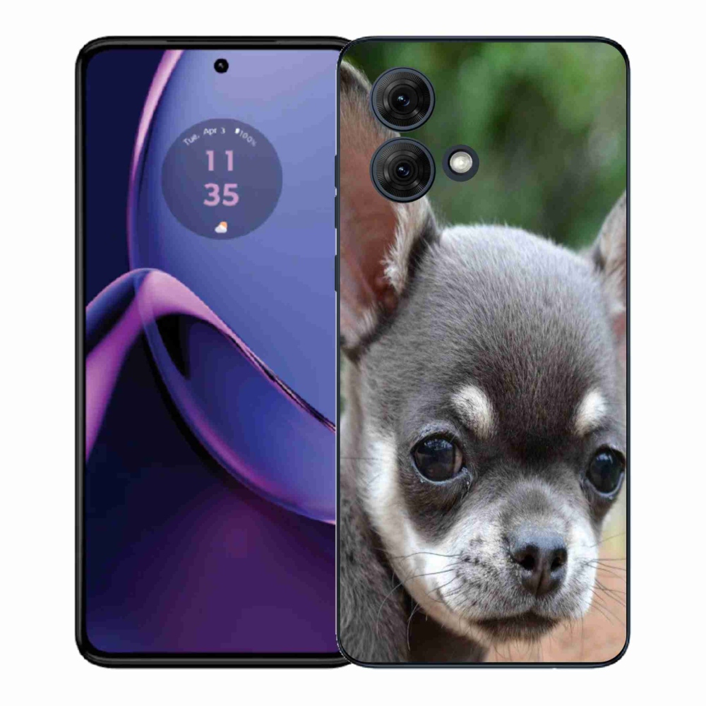 Zselés borítás mmCase a Motorola Moto G84 5G készülékhez - chihuahua