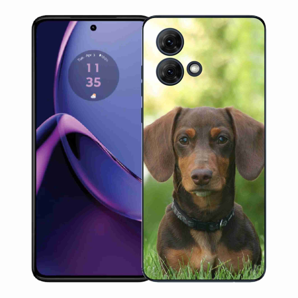 Zselés borítás mmCase a Motorola Moto G84 5G-hez - barna tacskó