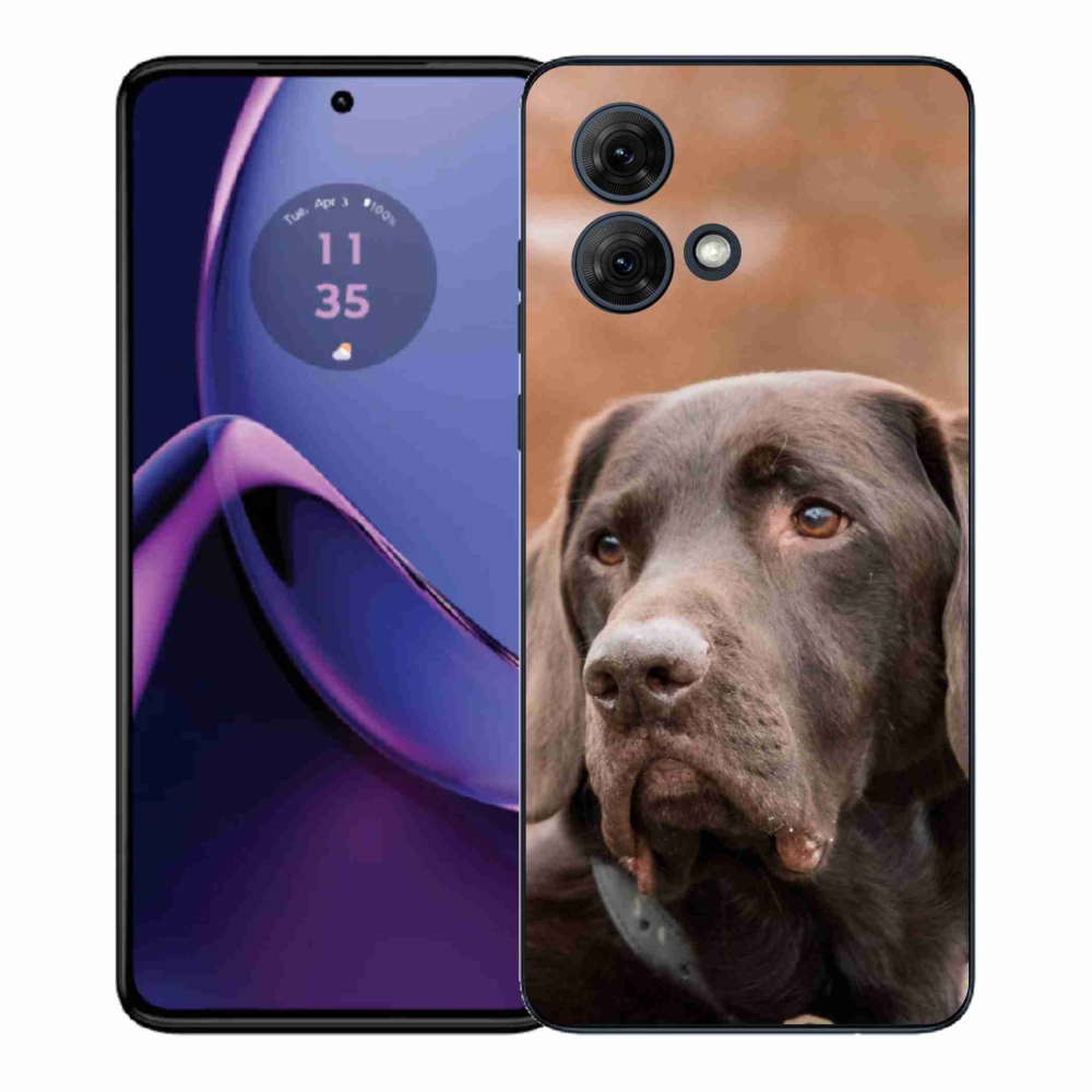 Zselés borítás mmCase a Motorola Moto G84 5G készülékhez - barna labrador
