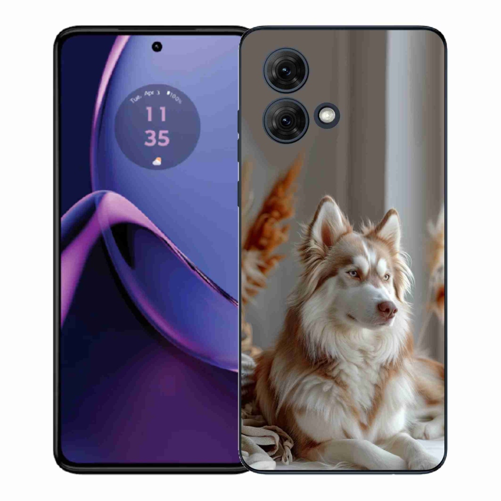 Zselés borítás mmCase a Motorola Moto G84 5G-hez - csendes szibériai husky
