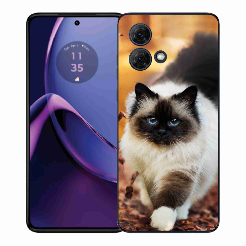 Gél védőburkolat mmCase a Motorola Moto G84 5G készülékhez - macska