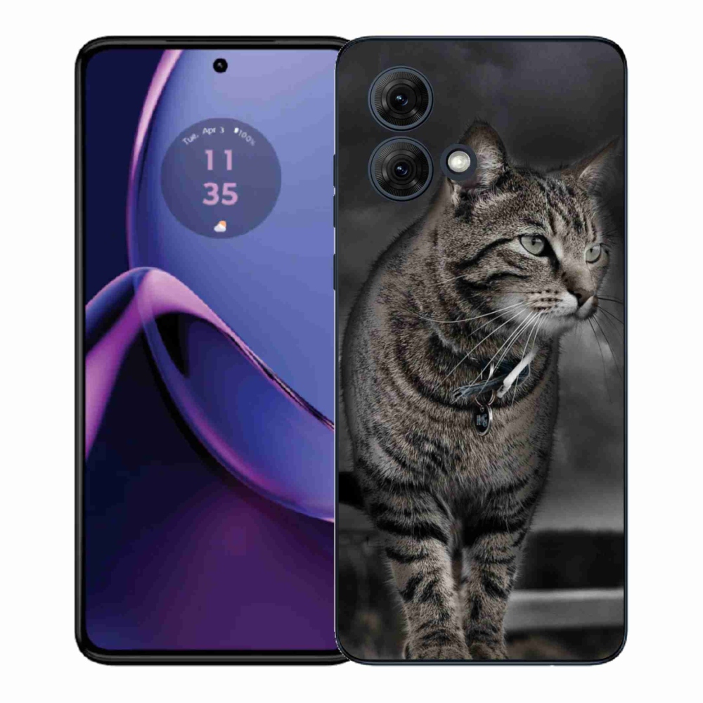 Gél védőburkolat mmCase a Motorola Moto G84 5G készülékhez - macska