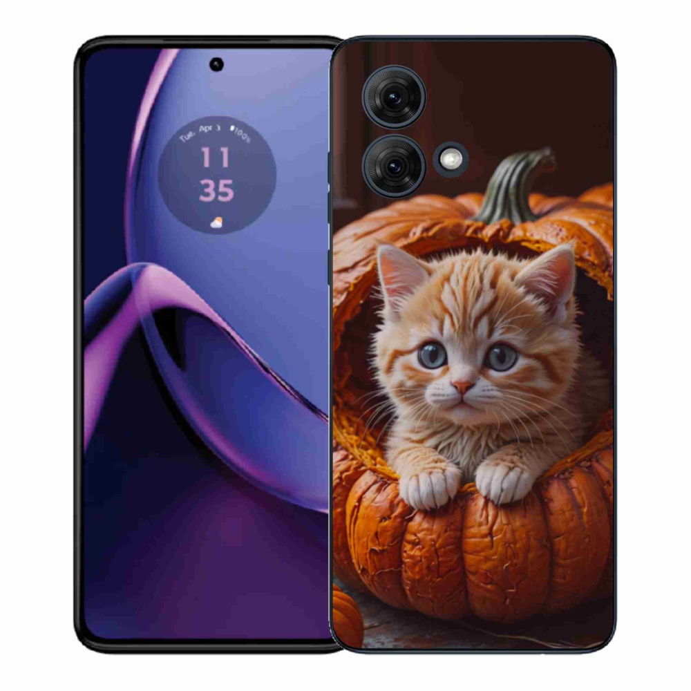 Gél borítás mmCase Motorola Moto G84 5G - cica és sütőtök 2
