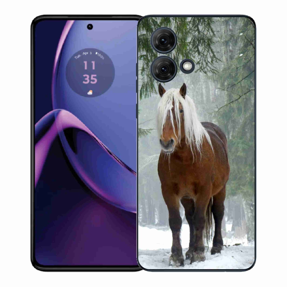 Zselés borítás mmCase a Motorola Moto G84 5G-hez - ló az erdőben