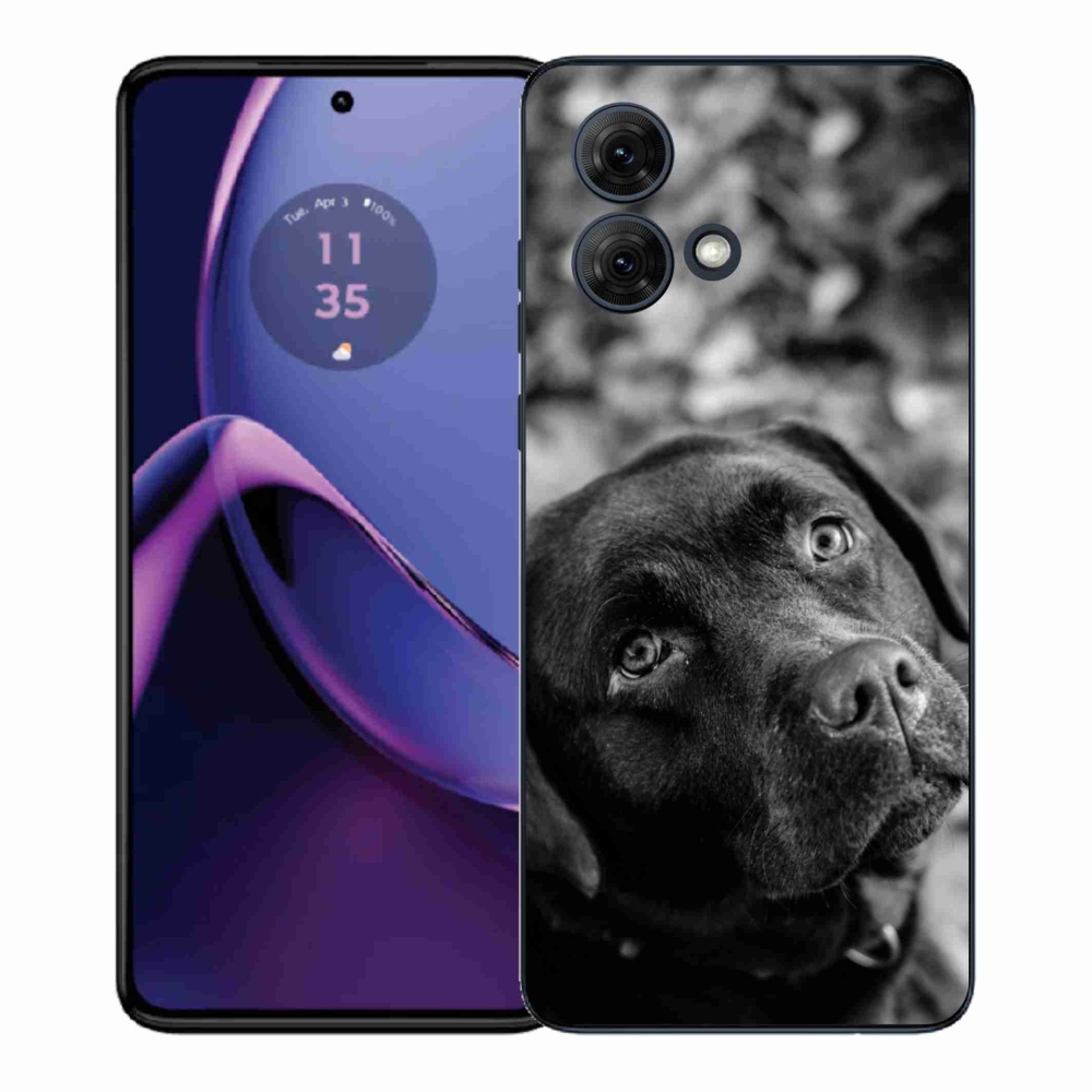 Gél védőburkolat mmCase Motorola Moto G84 5G - labrador