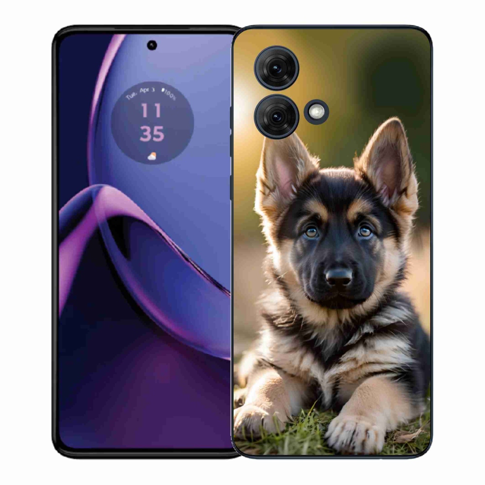 Zselés borítás mmCase a Motorola Moto G84 5G készülékhez - Német juhászkutya a természetben