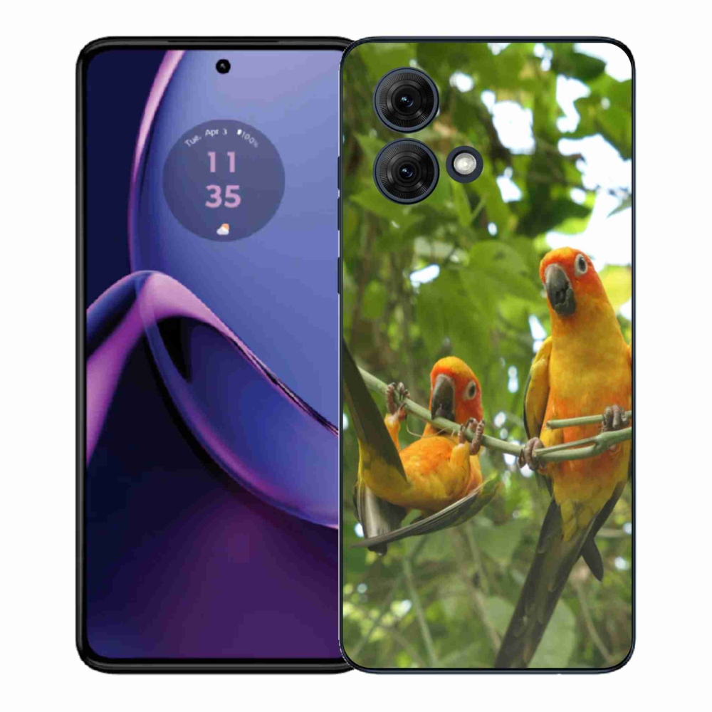 Gél védőburkolat mmCase Motorola Moto G84 5G - papagájok aratingy