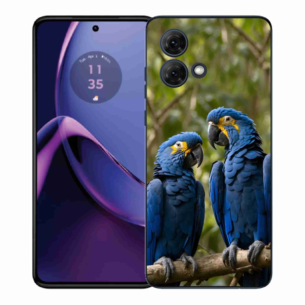 Zselés borítás mmCase Motorola Moto G84 5G - papagáj duóhoz