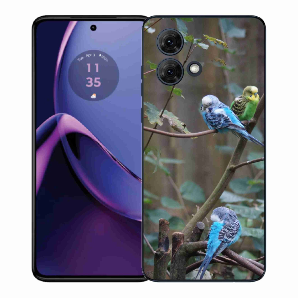 Zselés borítás mmCase a Motorola Moto G84 5G készülékhez - papagájok az ágon
