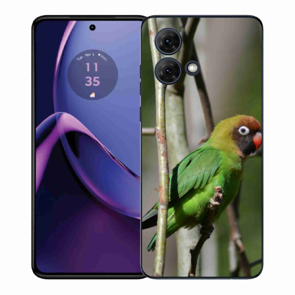 Zselés borítás mmCase Motorola Moto G84 5G - papagáj agapornis