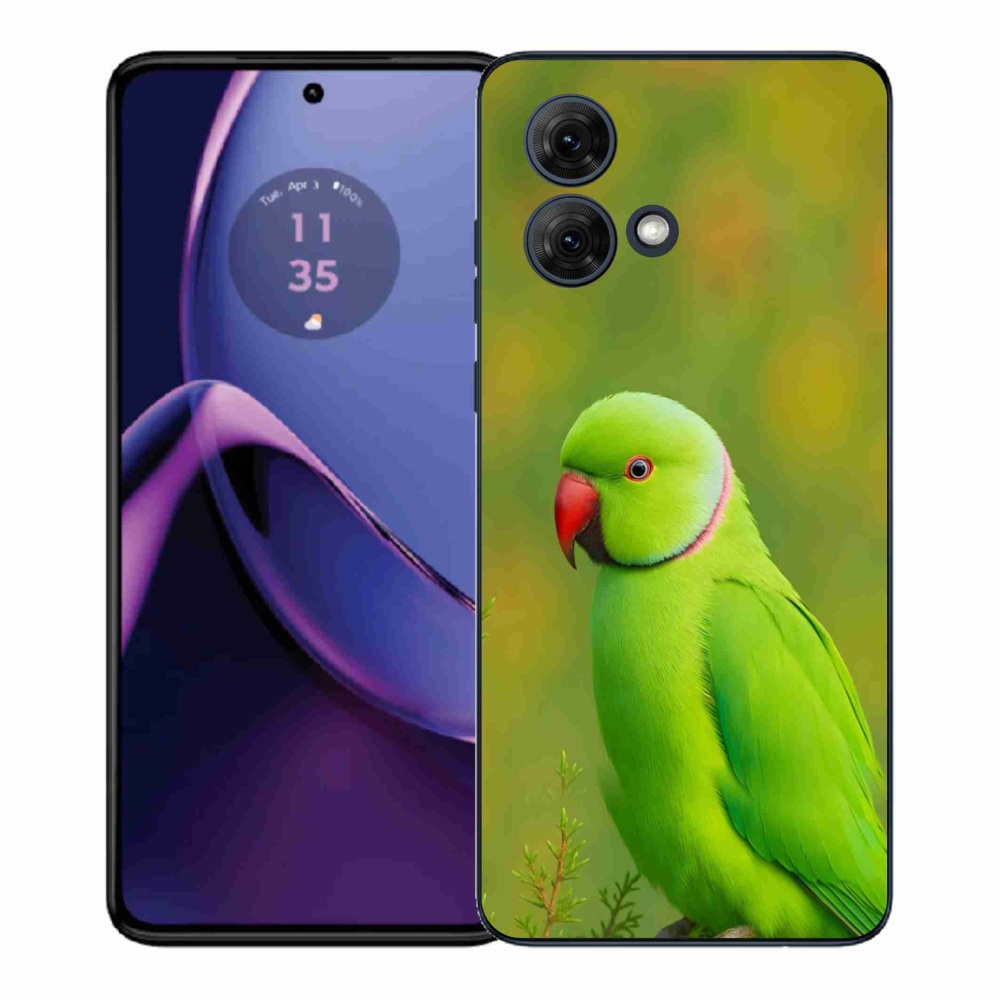 Zselés borítás mmCase Motorola Moto G84 5G - papagáj Alexander 2