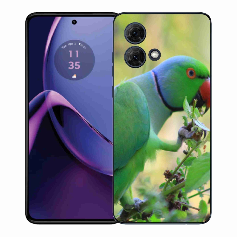 Zselés borítás mmCase Motorola Moto G84 5G - papagáj alexandr