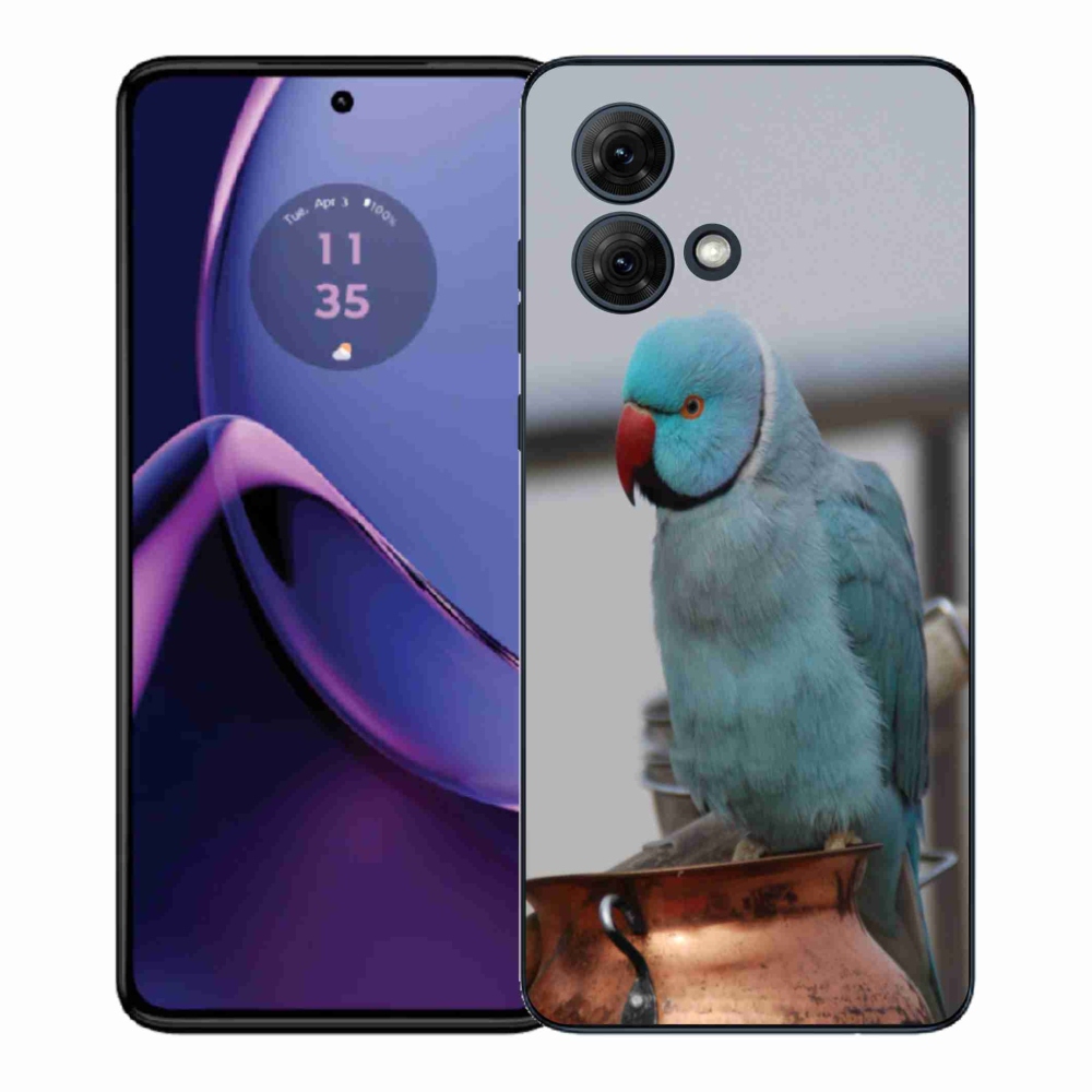 Zselés borítás mmCase a Motorola Moto G84 5G készülékhez - papagáj alexander kék