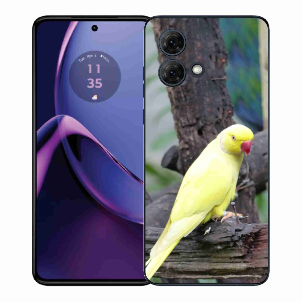 Gél védőburkolat mmCase Motorola Moto G84 5G - papagáj alexander sárga