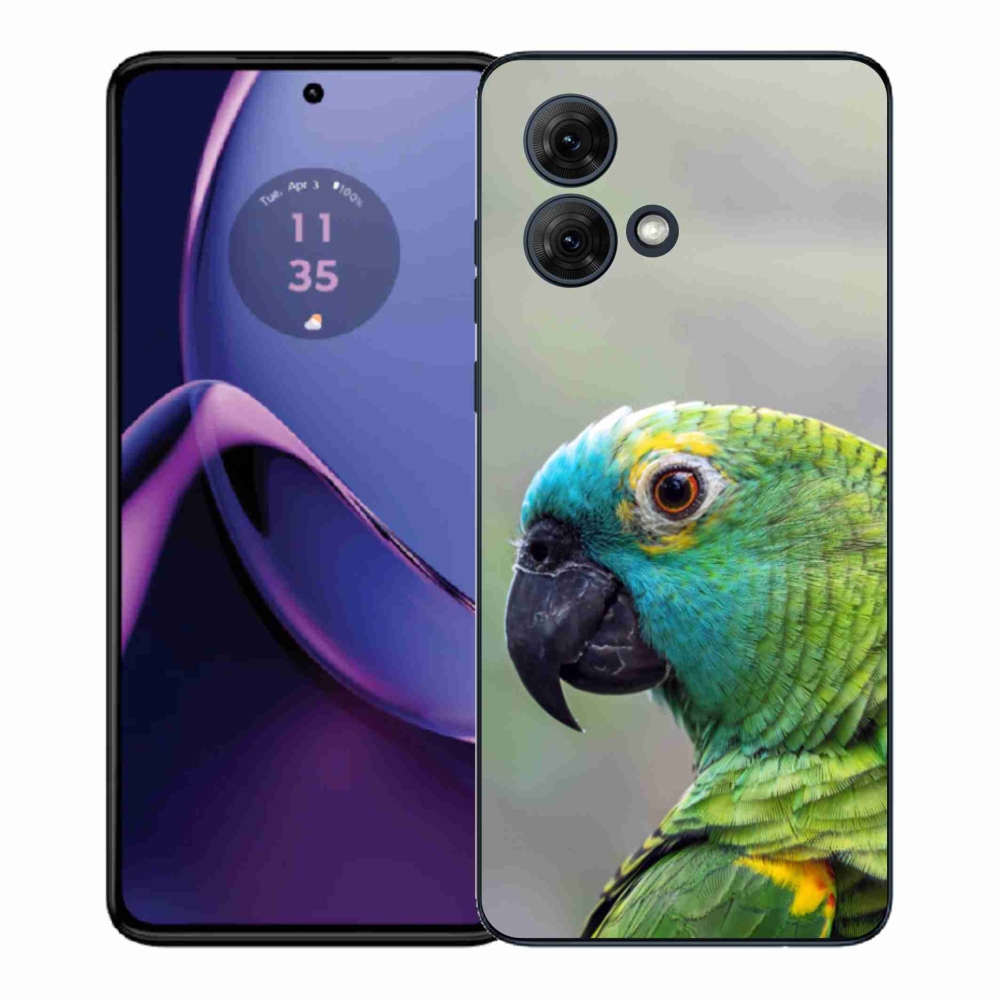 Gél védőburkolat mmCase Motorola Moto G84 5G - papagáj amazon