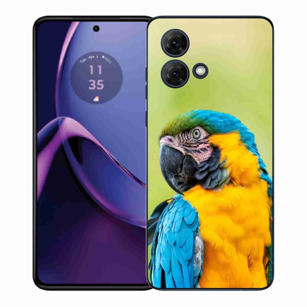 Gél védőburkolat mmCase Motorola Moto G84 5G - papagáj ara 2
