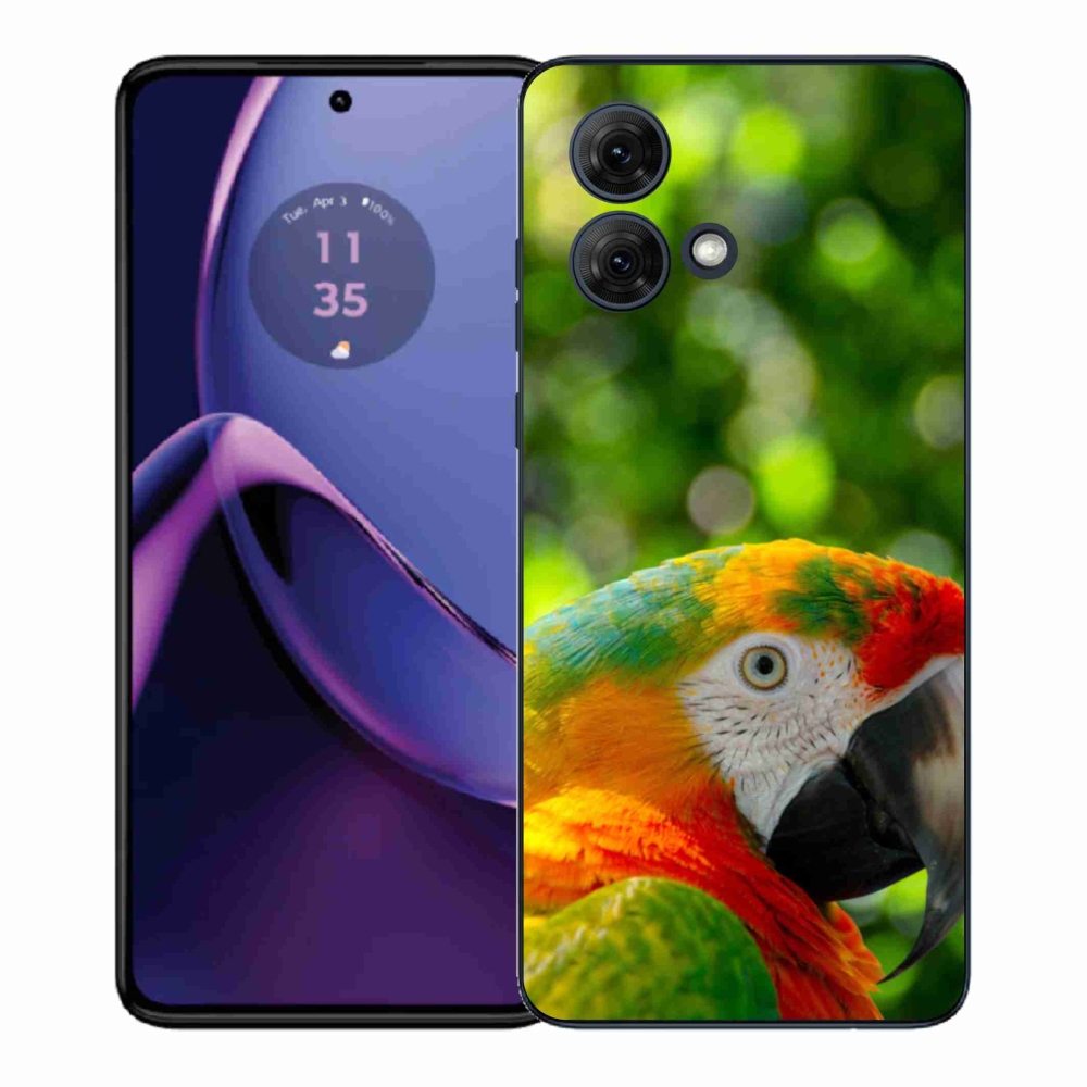 Gél védőburkolat mmCase Motorola Moto G84 5G - papagáj ara 3