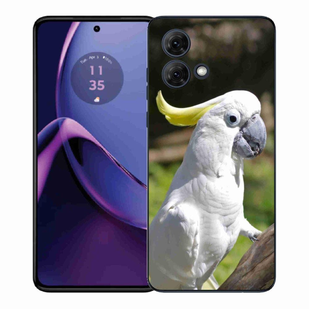 Zselés borítás mmCase Motorola Moto G84 5G - papagáj kakadu 2