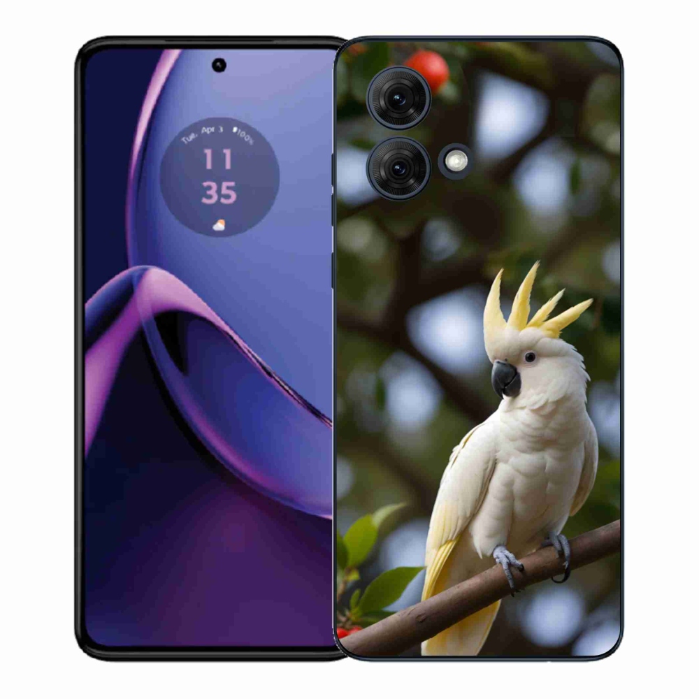 Zselés borítás mmCase Motorola Moto G84 5G - papagáj kakadu 3