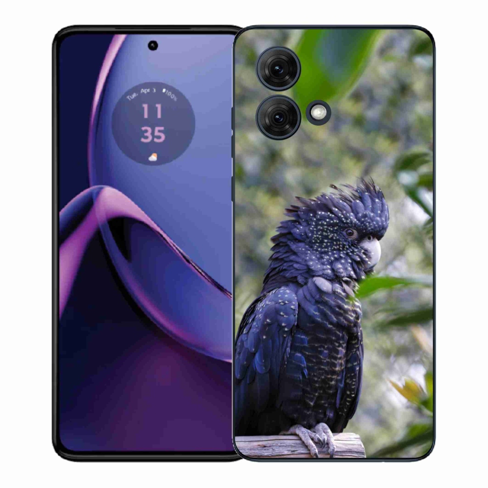 Zselés borítás mmCase a Motorola Moto G84 5G készülékhez - papagáj kakadu fekete
