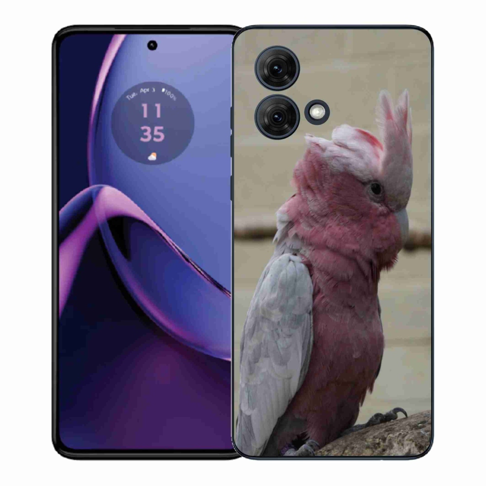 Zselés borítás mmCase a Motorola Moto G84 5G készülékhez - papagáj kakadu rózsaszínű