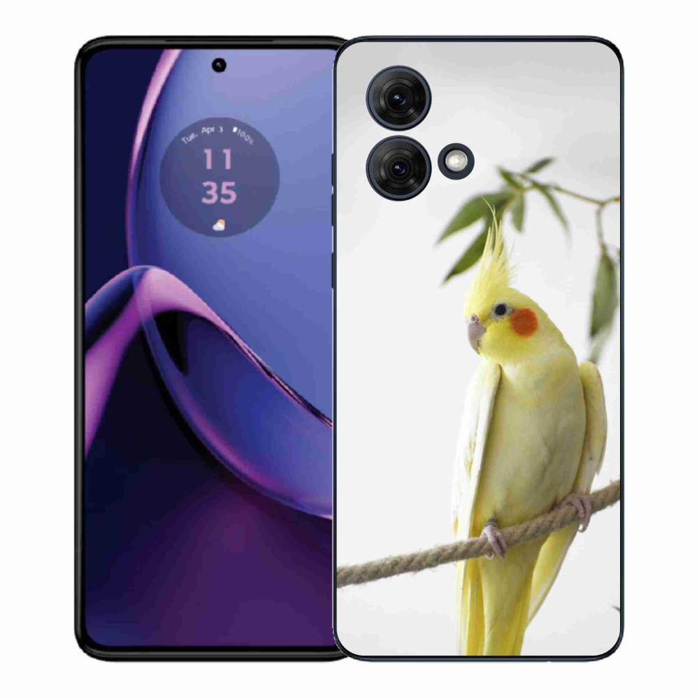 Gél borítás mmCase Motorola Moto G84 5G - papagáj korela chocholatá