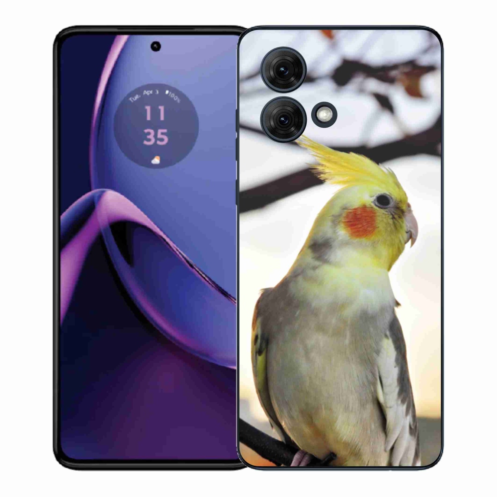 Zselés borítás mmCase Motorola Moto G84 5G - papagáj korela