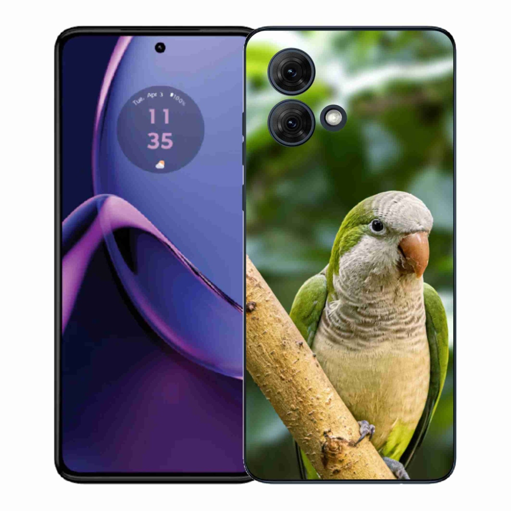 Gél védőburkolat mmCase Motorola Moto G84 5G - papagáj