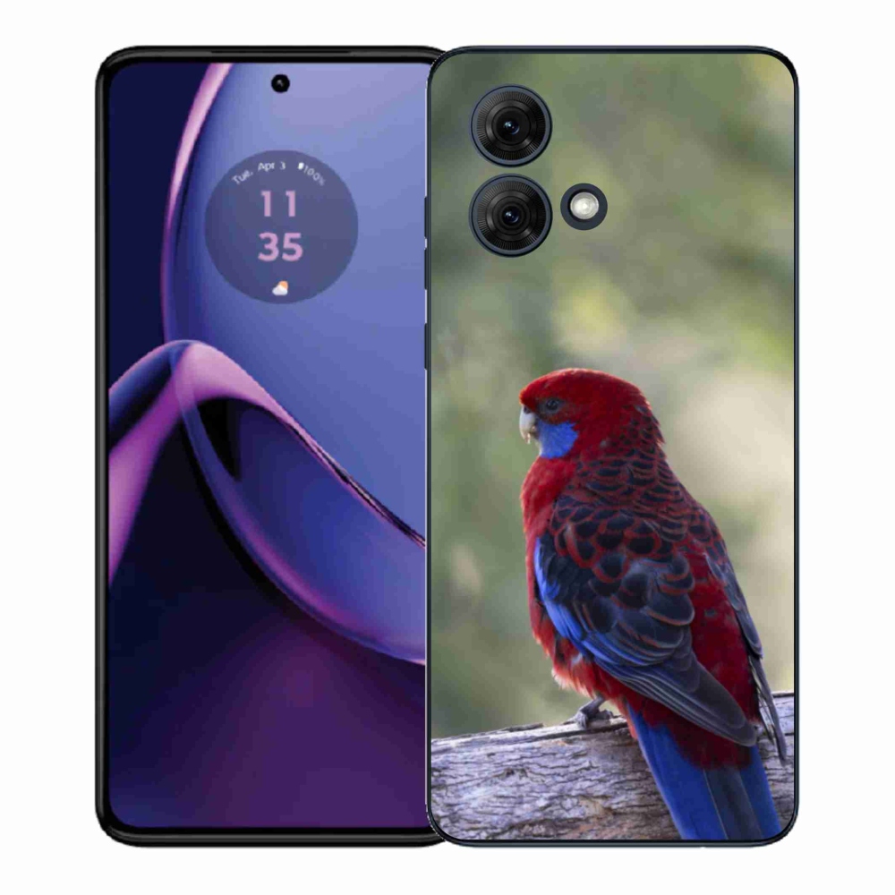 Zselés borítás mmCase a Motorola Moto G84 5G készülékhez - papagáj rosela