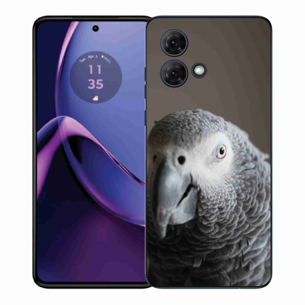 Gél védőburkolat mmCase Motorola Moto G84 5G - papagáj jacko 2