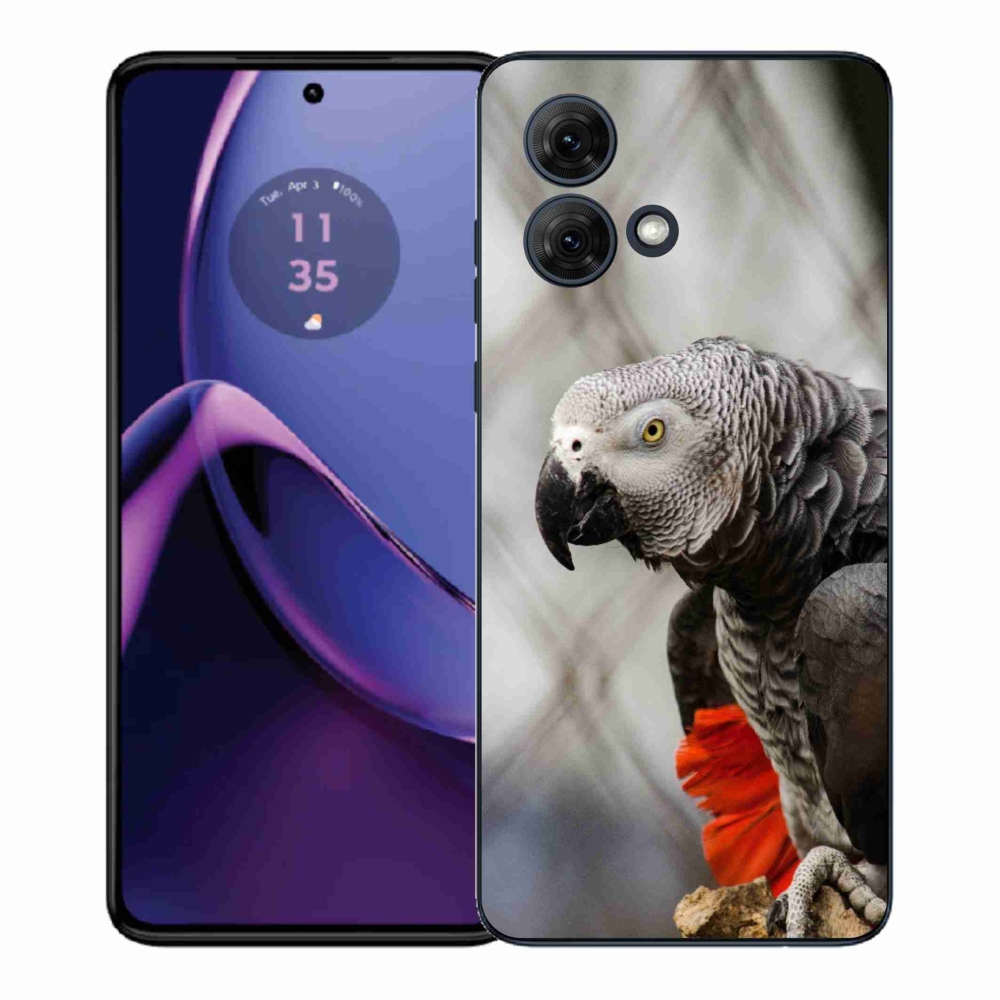 Gél védőburkolat mmCase Motorola Moto G84 5G - papagáj jacko 3