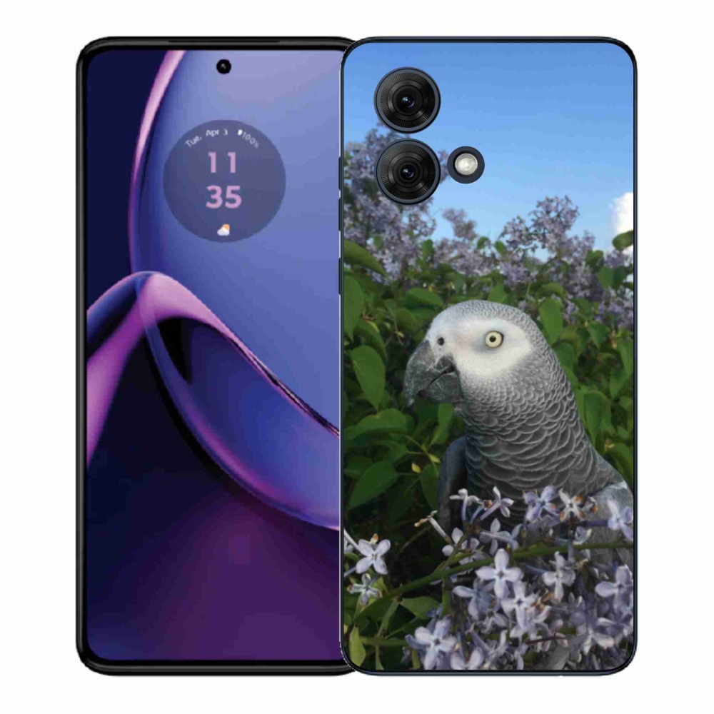 Gél védőburkolat mmCase Motorola Moto G84 5G - papagáj jacco