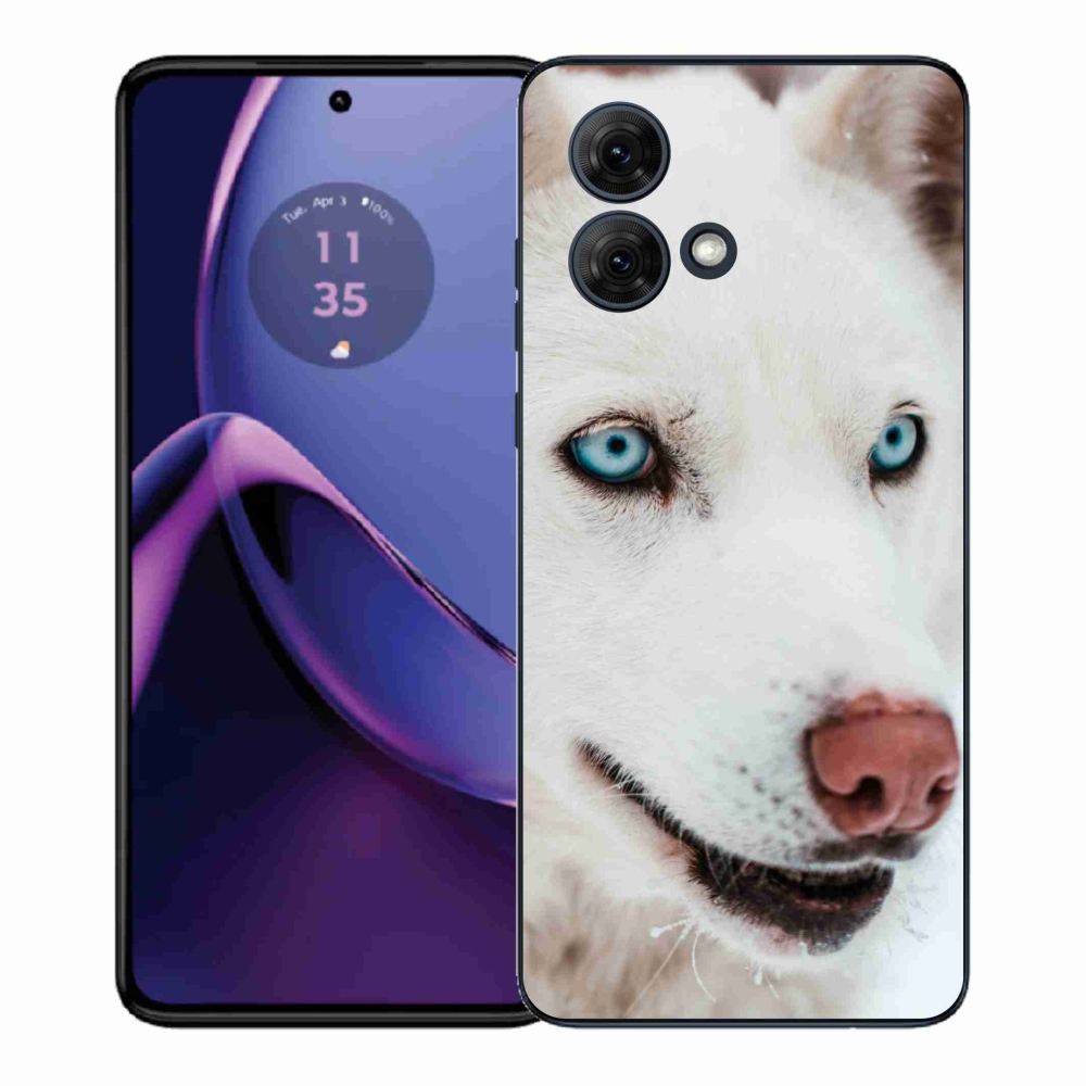 Zselés borítás mmCase a Motorola Moto G84 5G készülékhez - kutyusos nézet