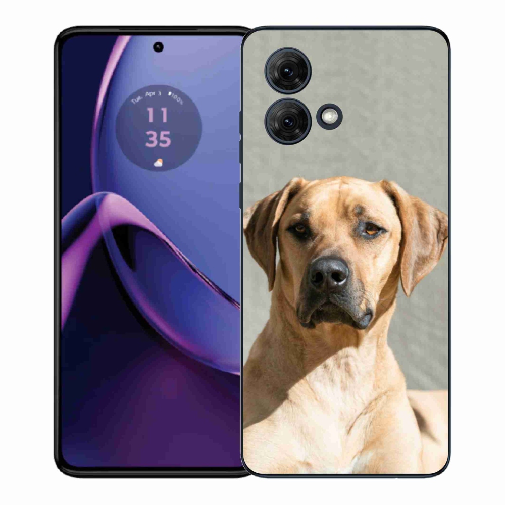 Gél védőburkolat mmCase a Motorola Moto G84 5G készülékhez - ridgeback