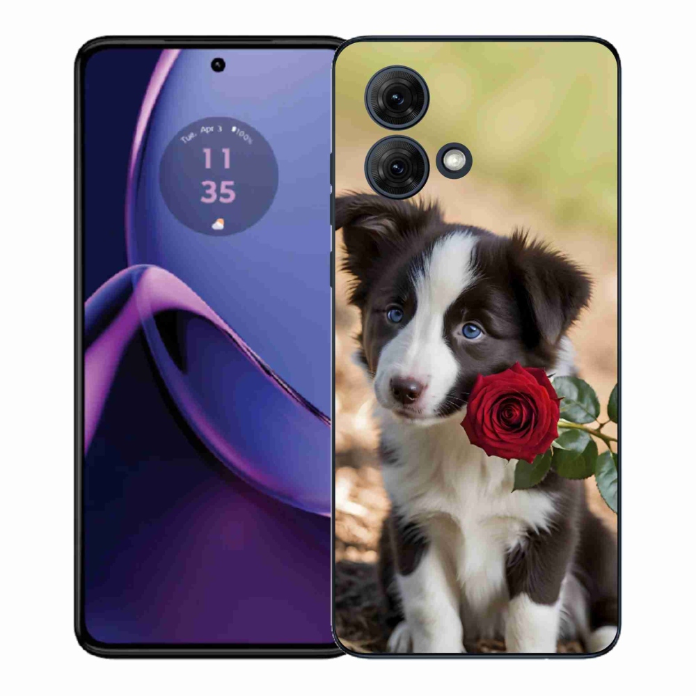 Gél borítás mmCase a Motorola Moto G84 5G-hez - aranyos border collie rózsával