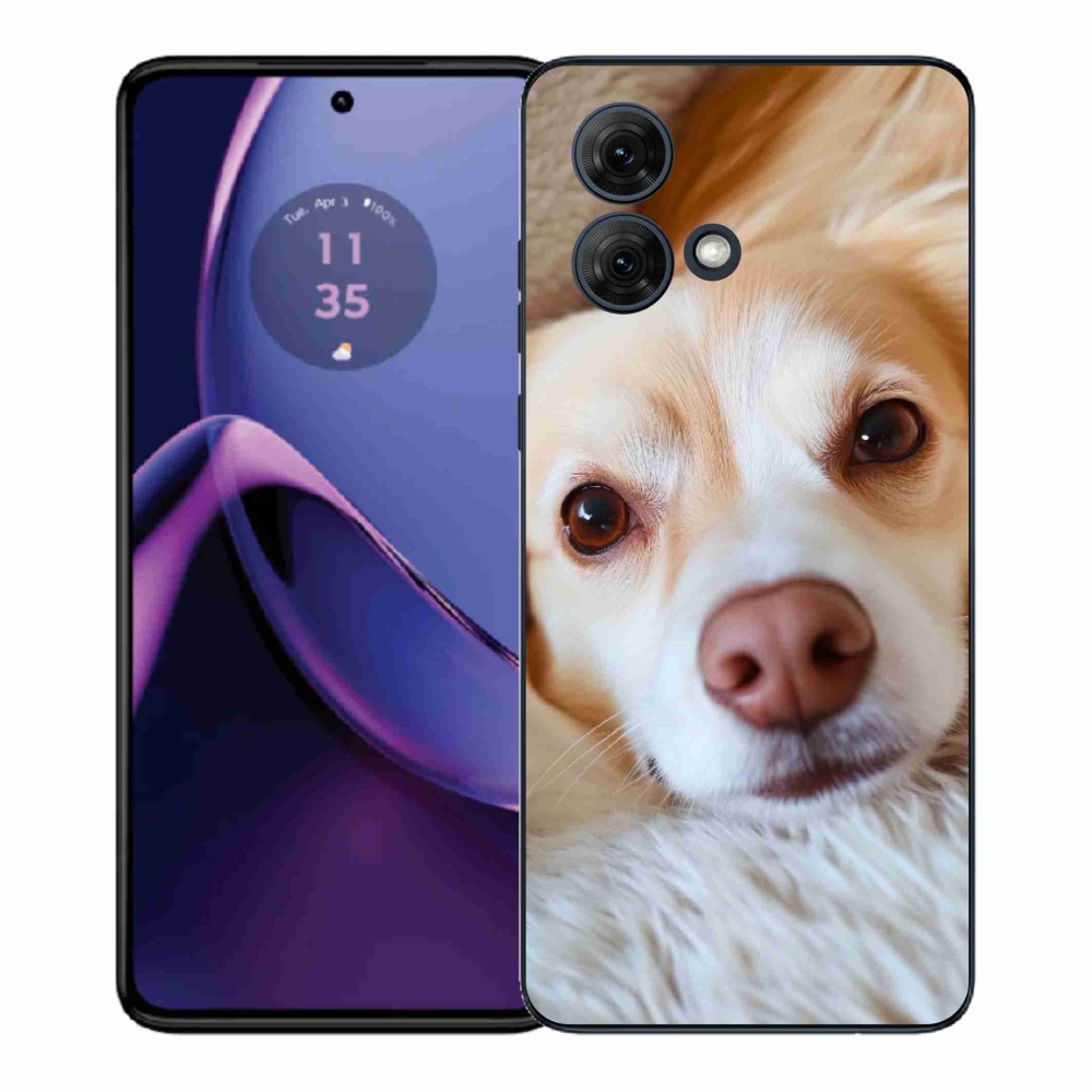Zselés borítás mmCase Motorola Moto G84 5G - Aranyos Chihuahua