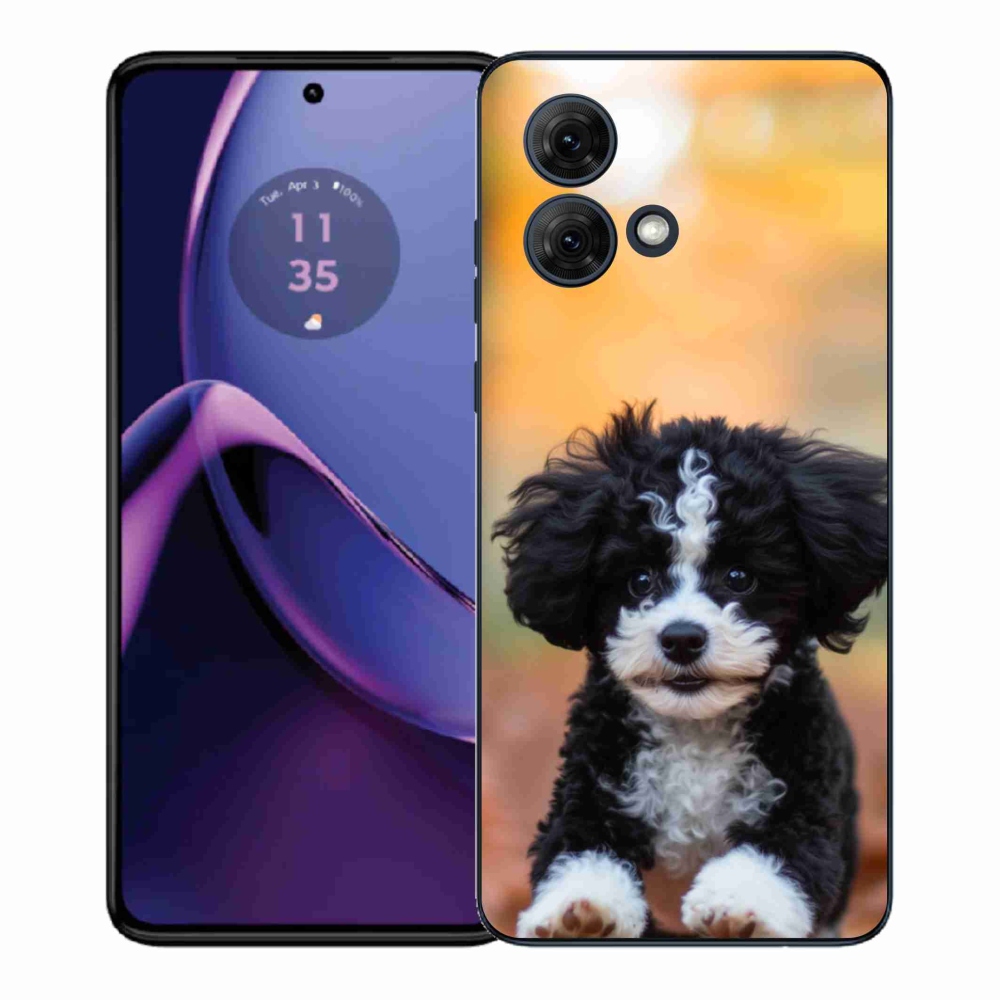 Zselés borítás mmCase Motorola Moto G84 5G - aranyos kiskutya 2