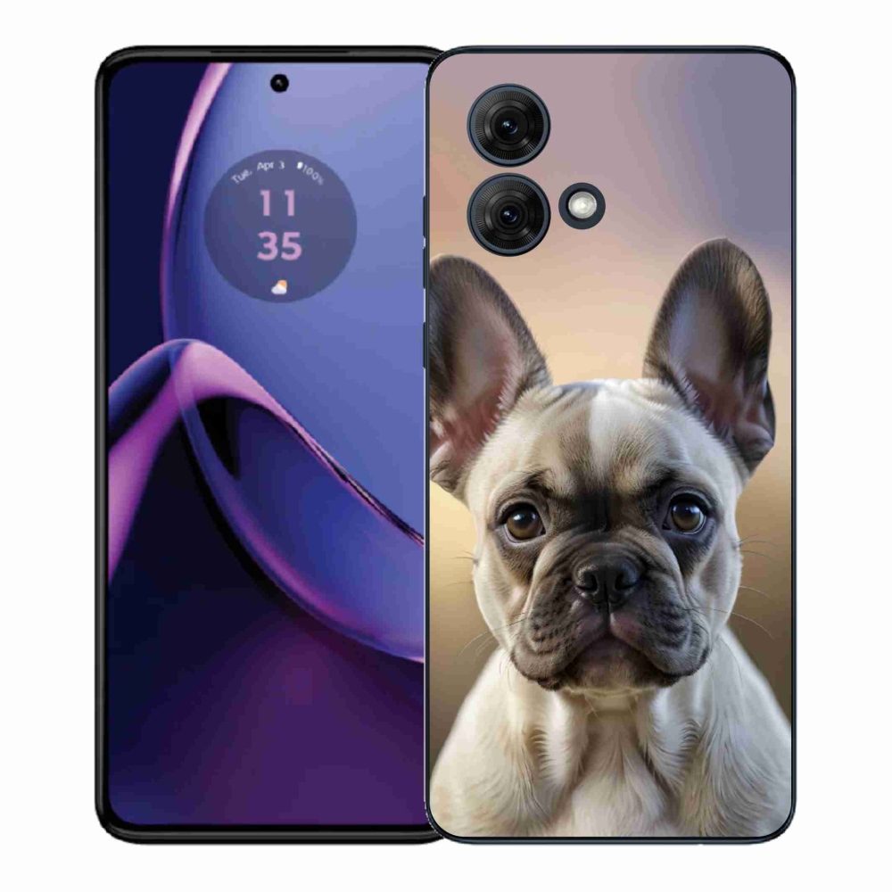 Gél borítás mmCase Motorola Moto G84 5G - aranyos francia bulldoghoz