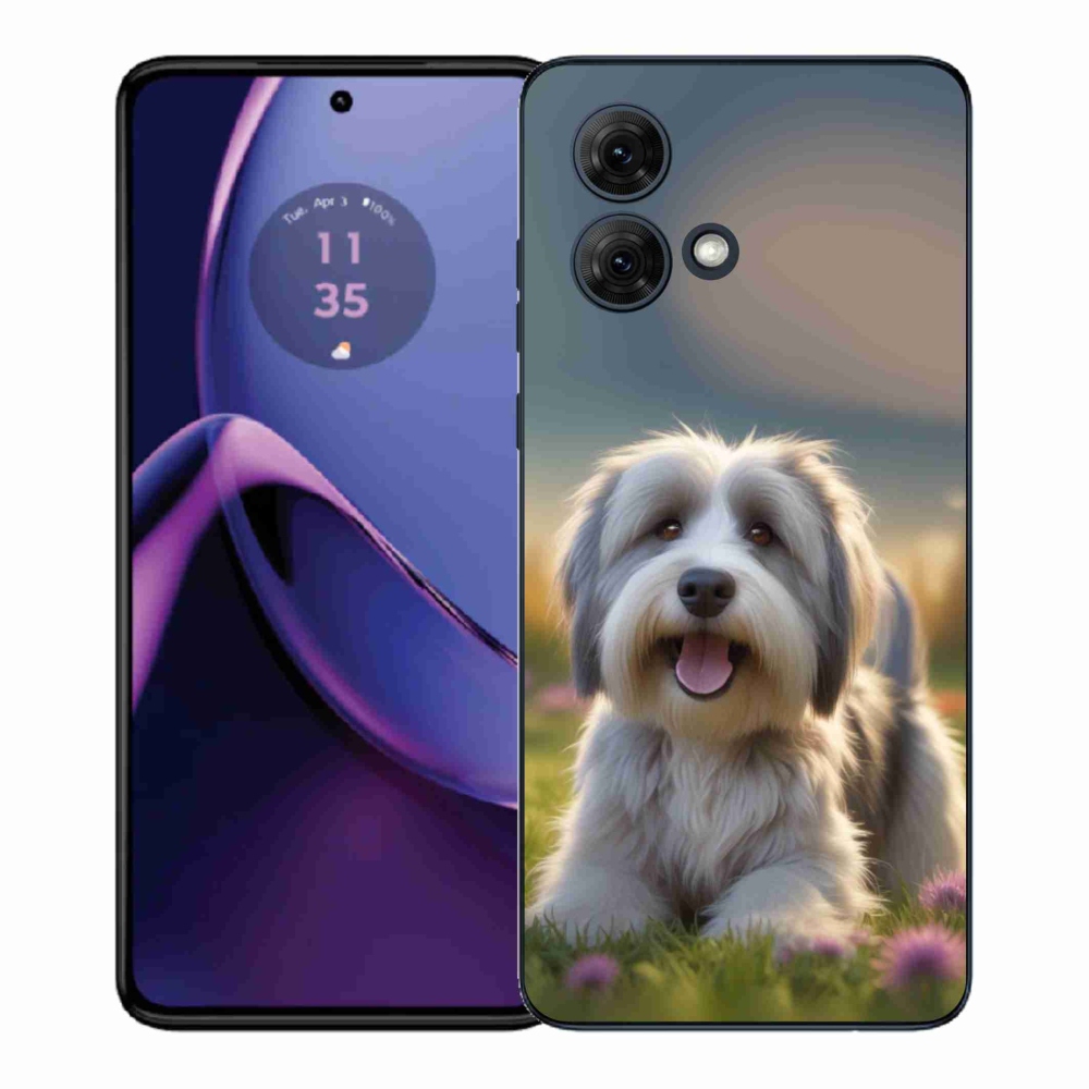 Zselés borítás mmCase Motorola Moto G84 5G - aranyos Havanna kutya