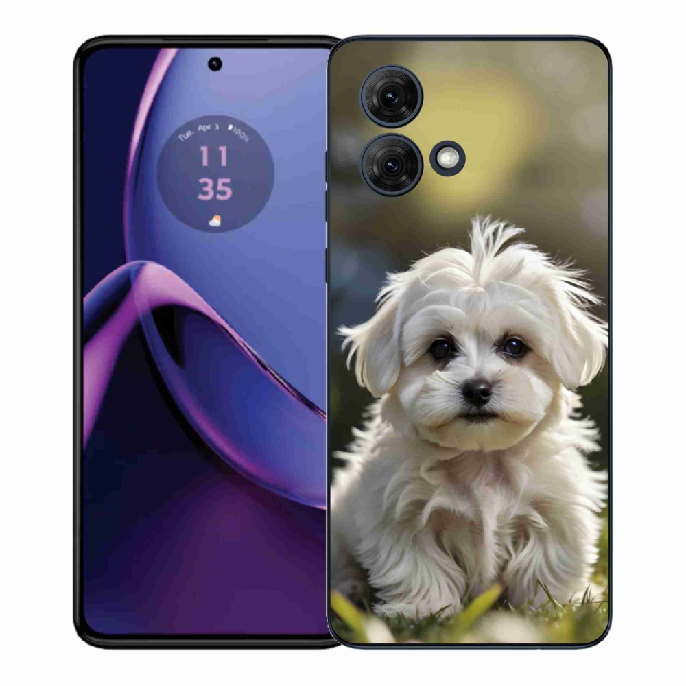 Zselés borítás mmCase Motorola Moto G84 5G - aranyos máltai kutya