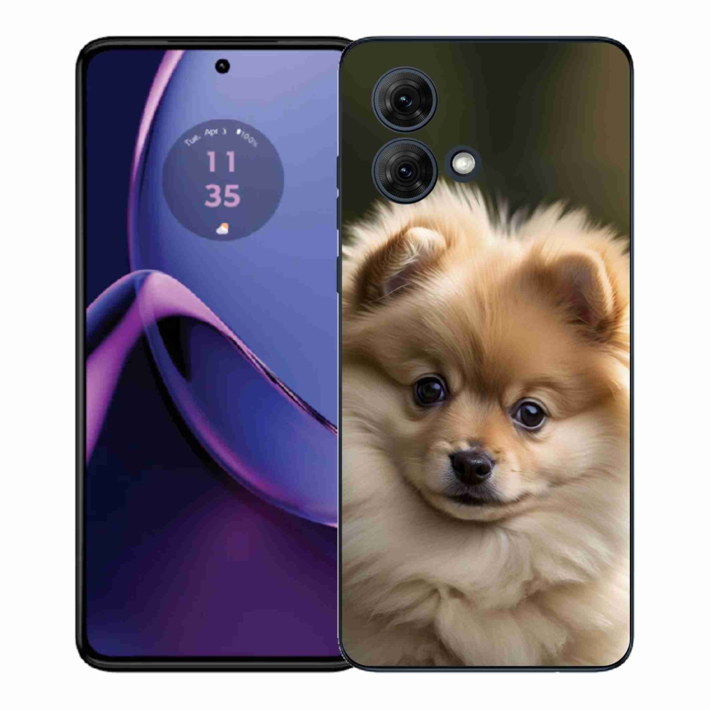 Gél borítás mmCase a Motorola Moto G84 5G-hez - aranyos pomerániai 2