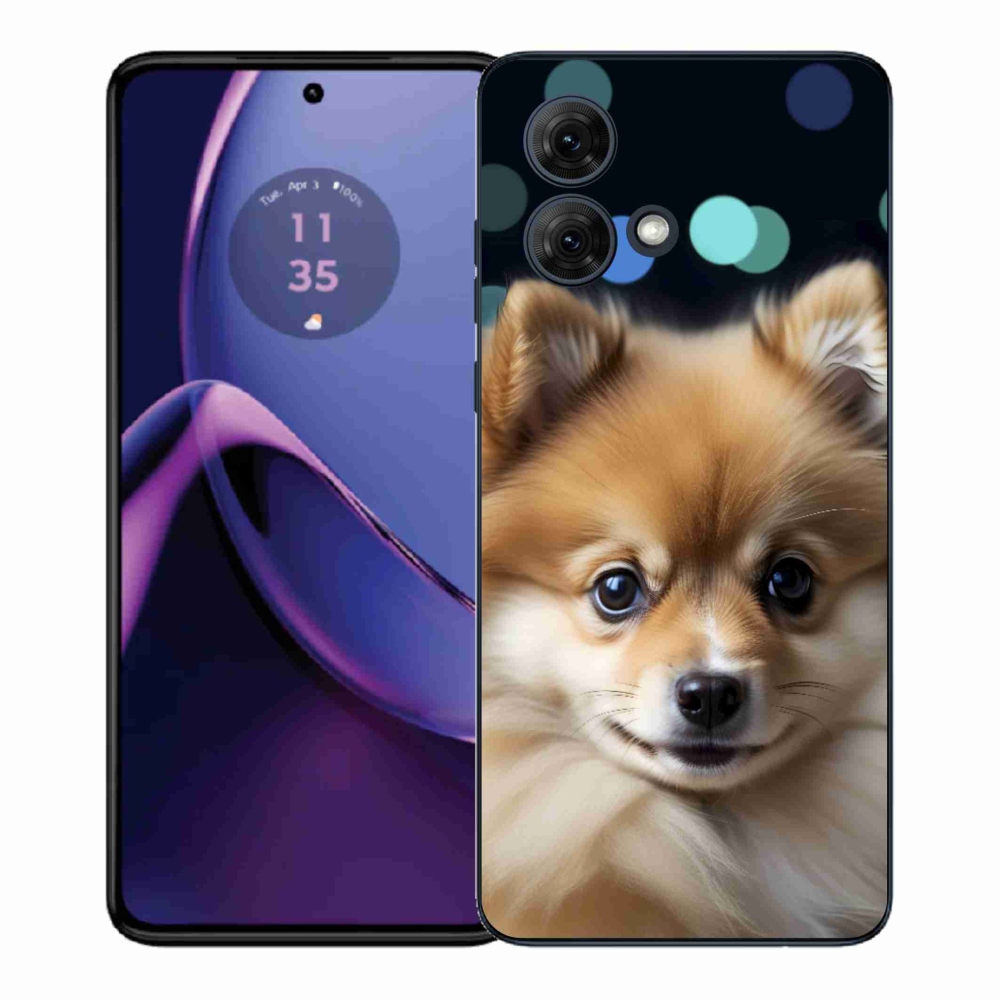 Gél borítás mmCase a Motorola Moto G84 5G-hez - aranyos pomerániai állat